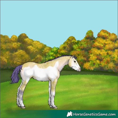 Horse Color:Watercolor Bay Ice Onyx Frame