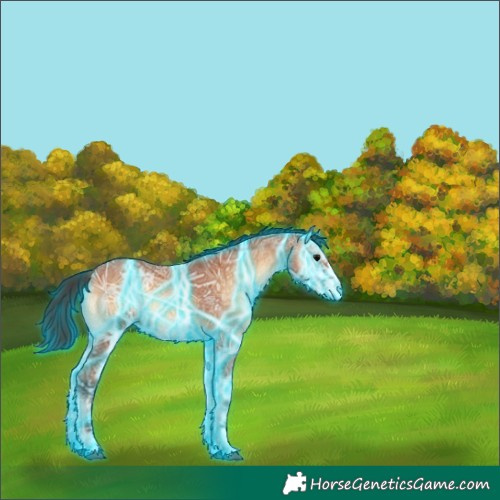 Horse Color:Thunderstruck Bay Ice Onyx 