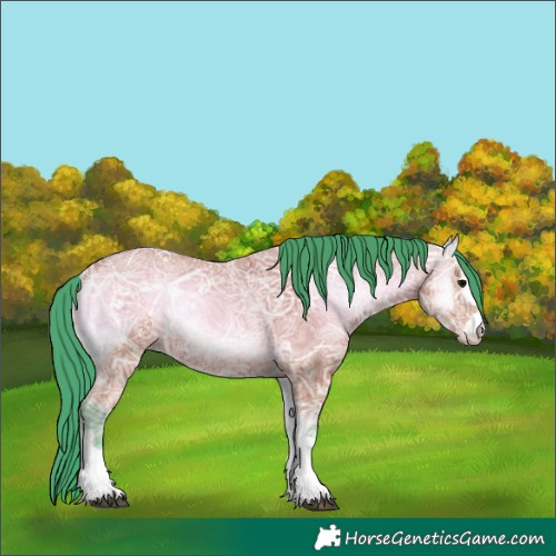 Horse Color:Watercolor Bay Ice Onyx Rabicano
