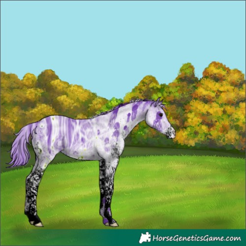 Horse Color:ERROR: UNKNOWN ANOMALY