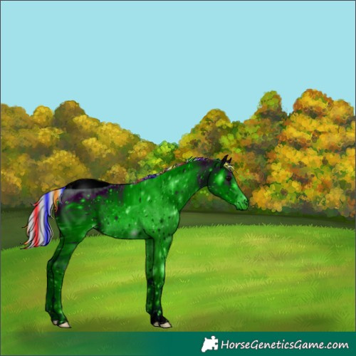 Horse Color:ERROR: UNKNOWN ANOMALY