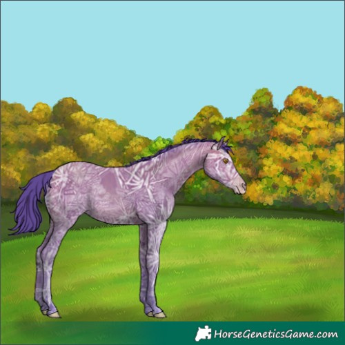 Horse Color:Watercolor Sable Champagne Ice Rabicano