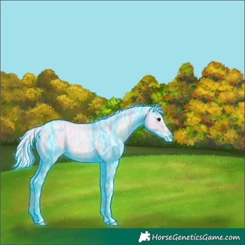 Horse Color:Thunderstruck Watercolor Silver Bay Ice Roan Rabicano 