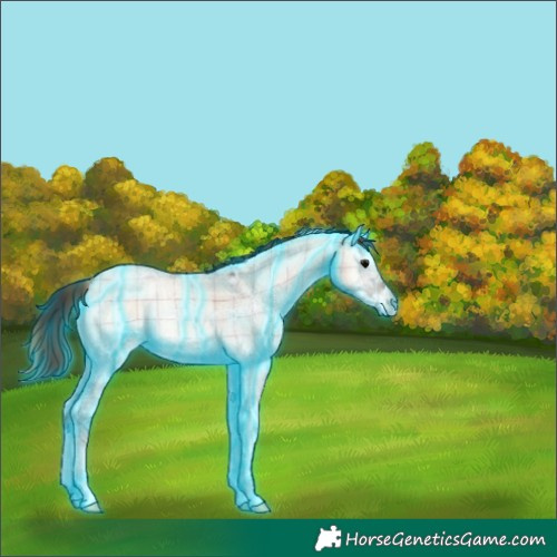 Horse Color:Thunderstruck Plaid Bay Ice Roan Onyx