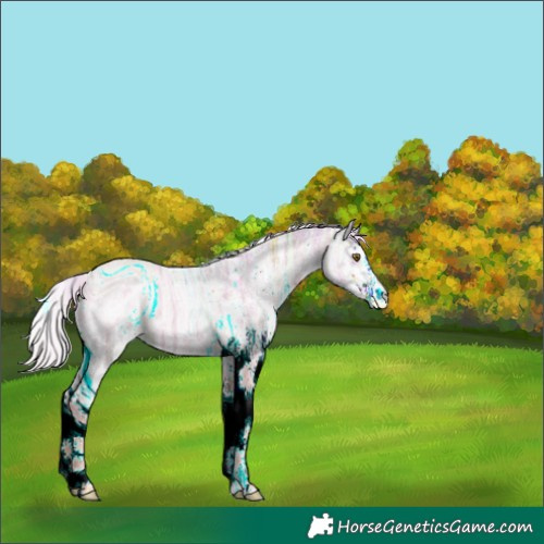 Horse Color:ERROR: UNKNOWN ANOMALY