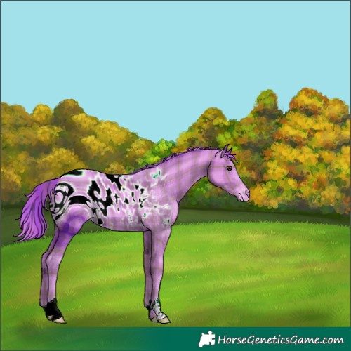 Horse Color:ERROR: UNKNOWN ANOMALY