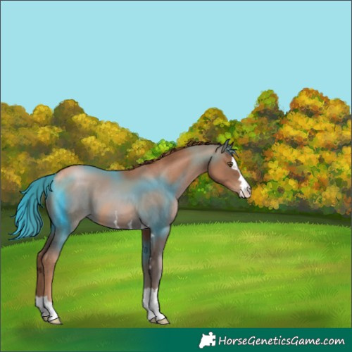 Horse Color:Liver Chestnut Pearl