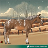 Horse Color:Powder White Chocolate Palomino