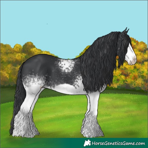 Horse Color:White Spotted Black Frame 