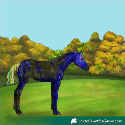 Horse Color:ERROR: UNKNOWN ANOMALY