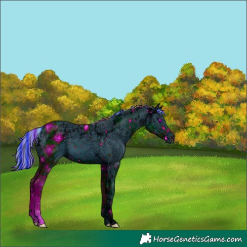 Horse Color:ERROR: UNKNOWN ANOMALY