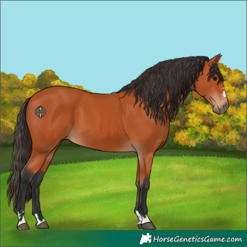 Horse Color:Unknown 