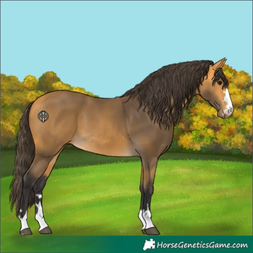 Horse Color:Unknown 