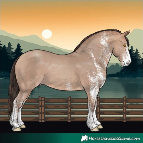Horse Color:White Spotted Amber Champagne 
