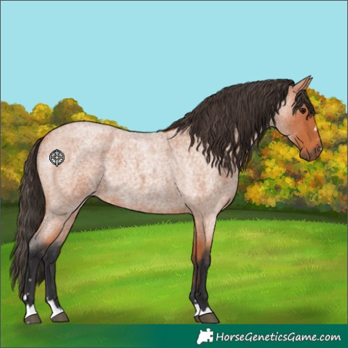 Horse Color:Unknown 