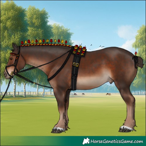 Horse Color:Liver Chestnut 