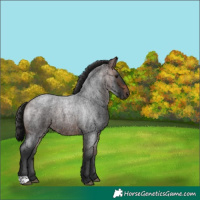 Horse Color:Brown Roan