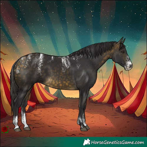 Horse Color:Powder White Buckskin 