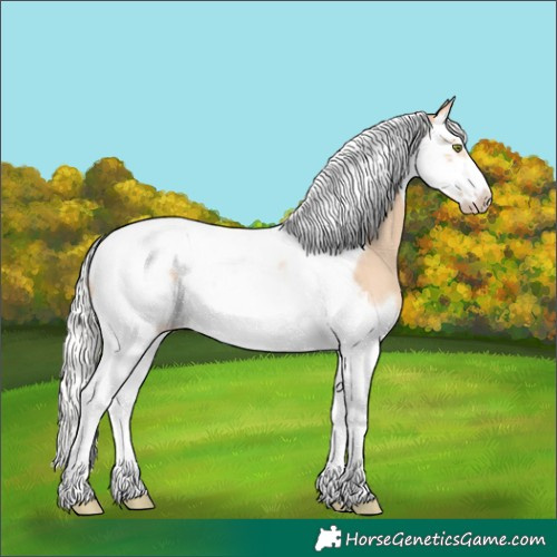 Horse Color:Silver Classic Champagne Dun Splash Tobiano Frame
