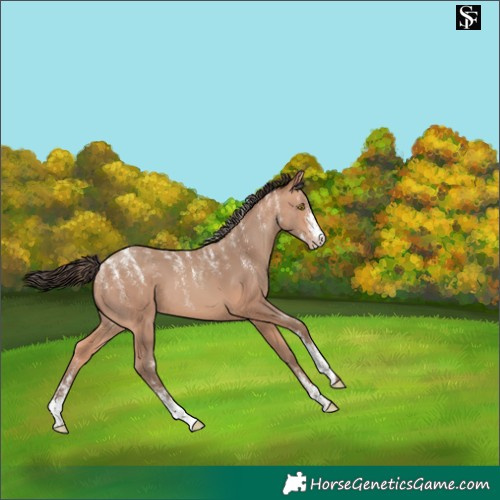 Horse Color:Powder White Amber Champagne 