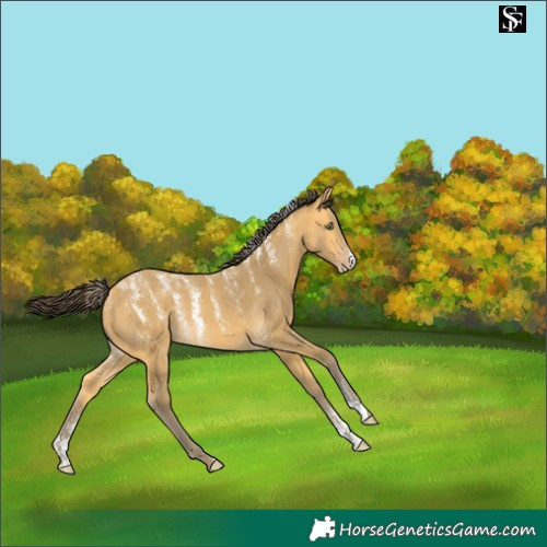 Horse Color:Powder White Amber Cream Champagne 