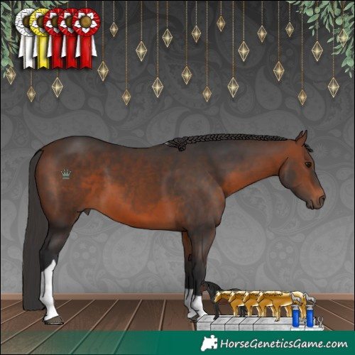 Horse Color:Brown Tobiano 
