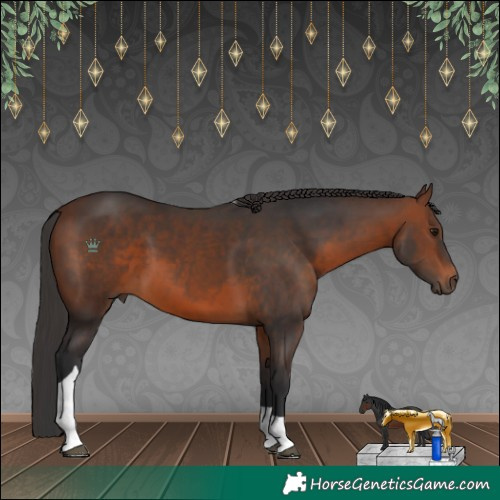 Horse Color:Brown Tobiano 