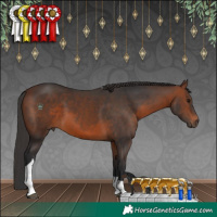 Horse Color:Brown Tobiano