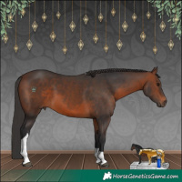 Horse Color:Brown Tobiano