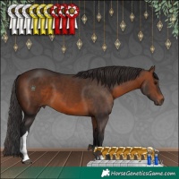 Horse Color:Brown Tobiano