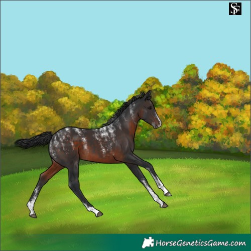 Horse Color:Powder White Brown
