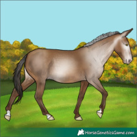 Horse Color:Gray Amber Champagne 