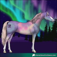 Horse Color:Watercolor Chocolate Palomino 