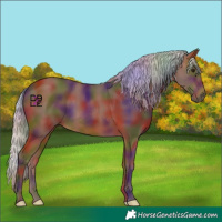 Horse Color:Nacre Silver Bay 