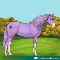 Horse Color:Watercolor White Spotted Gold Champagne 