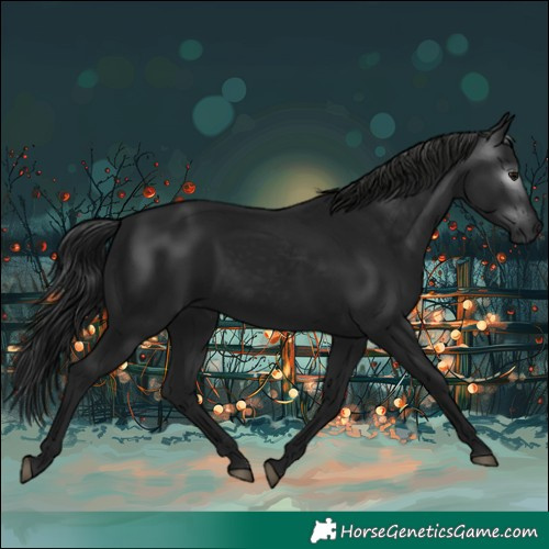 Horse Color:Gray Black 