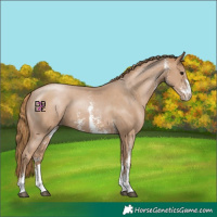 Horse Color:Black Pearl Sabino Varnish