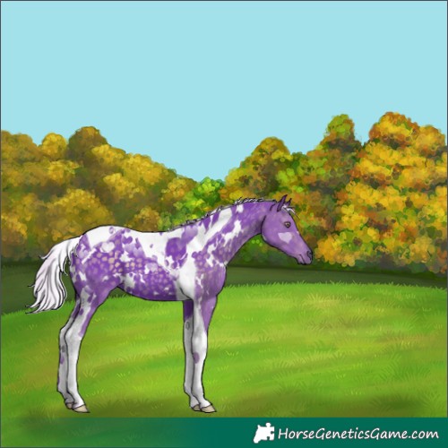 Horse Color:Watercolor White Spotted Silver Smoky Black Chinchilla Tobiano 
