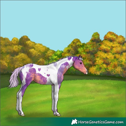 Horse Color:Watercolor Silver Smoky Black Tobiano 