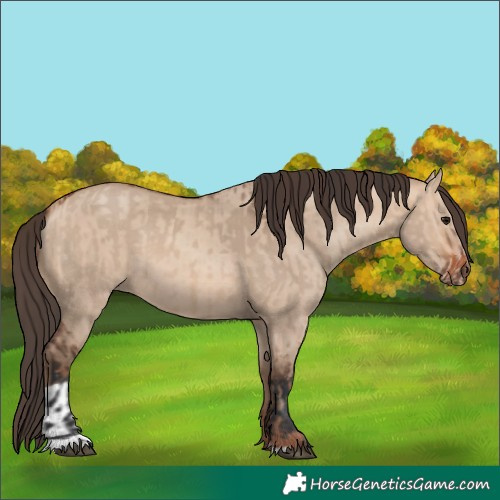 Horse Color:Bay Dun  and Amber Champagne Dun 