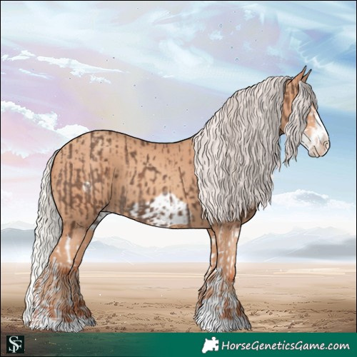 Horse Color:Silver Black Splash  and Silver Amber Champagne Frame 