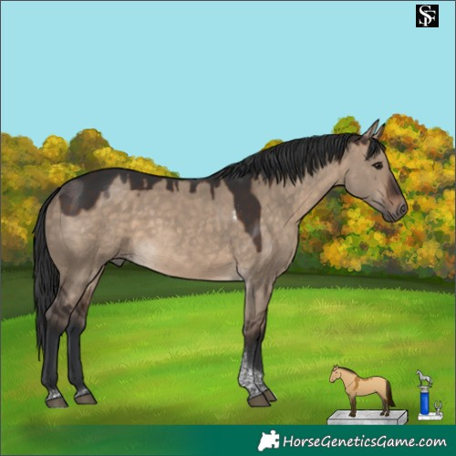 Horse Color:Brown Dun Tobiano 