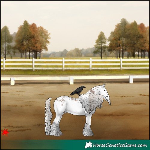 Horse Color:White Spotted Silver Black 