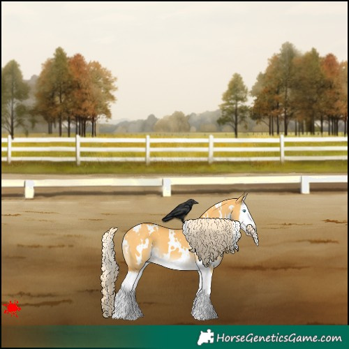 Horse Color:White Spotted Palomino Dun Splash 