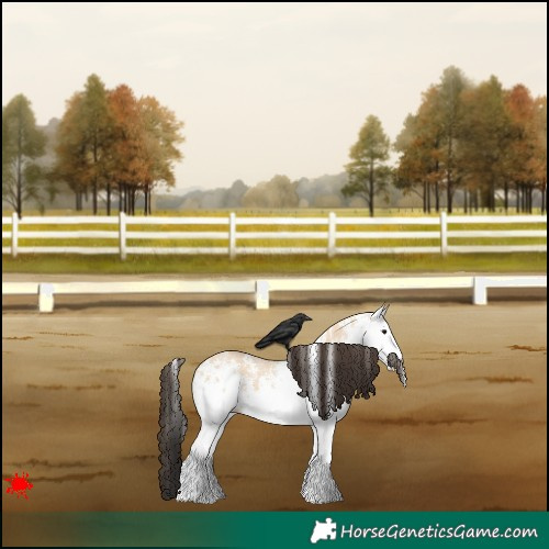Horse Color:White Spotted Bay Dun 