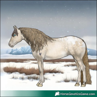 Horse Color:Buckskin Pearl Dun Skewed LP Spotted 