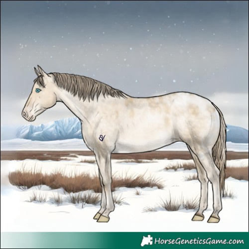 Horse Color:Buckskin Pearl Dun Skewed LP Spotted 