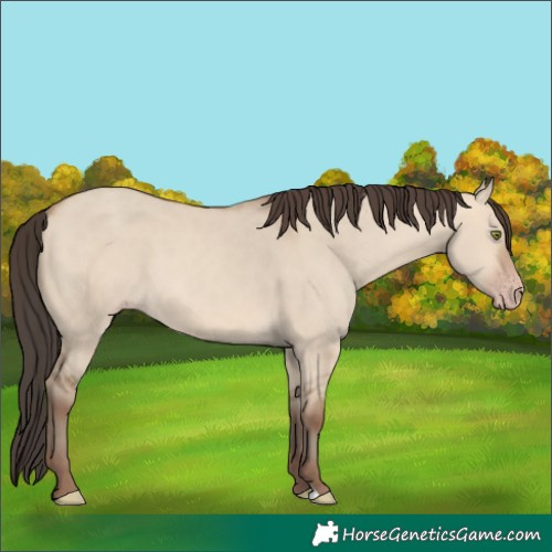 Horse Color:Sable Champagne Dun 