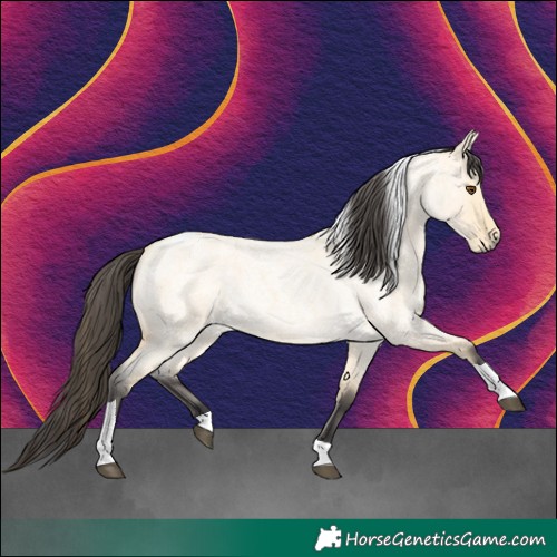 Horse Color:Buckskin Roan Dun Tobiano 