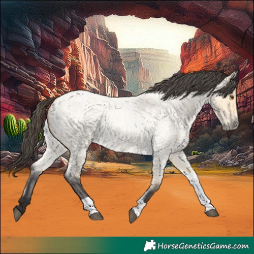 Horse Color:Buckskin Roan Dun Tobiano 